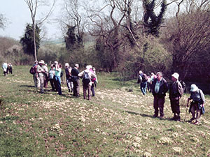 Orpington Field Club members visiting Downe Bank in April 2007.  Photo by Irene Palmer.