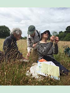 Dr June Chatfield identifying grasses in the Great House Meadow, Downe House, on 6th July 2015.