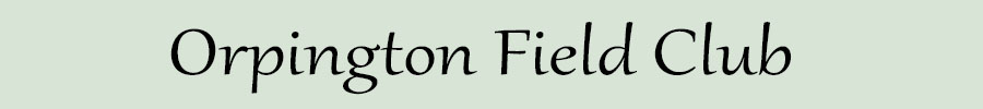 Orpington Field Club
