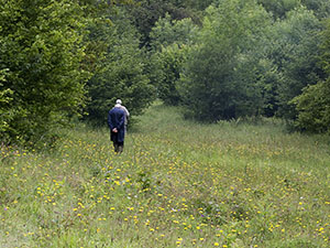 OFC members wandering along Downe Bank in June.  Photo by Bill Welch.