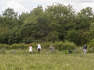 People enjoying a meadow in Jubilee Country Park in July.  Photo by Bill Welch.